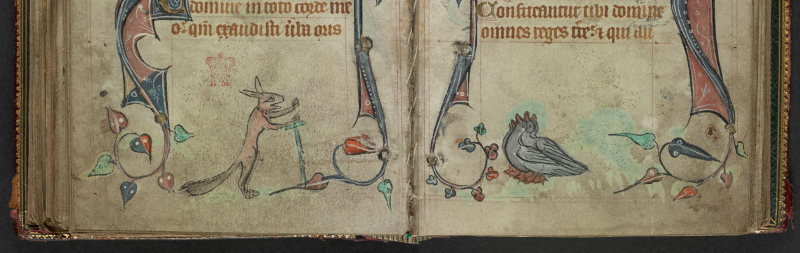 Fox preaching to birds